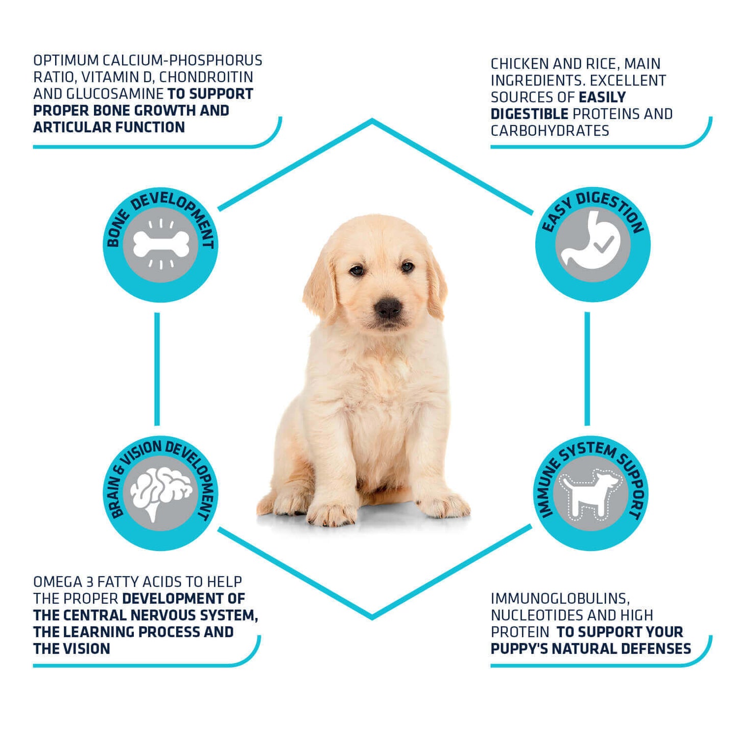 Advance Puppy Protect Maxi
