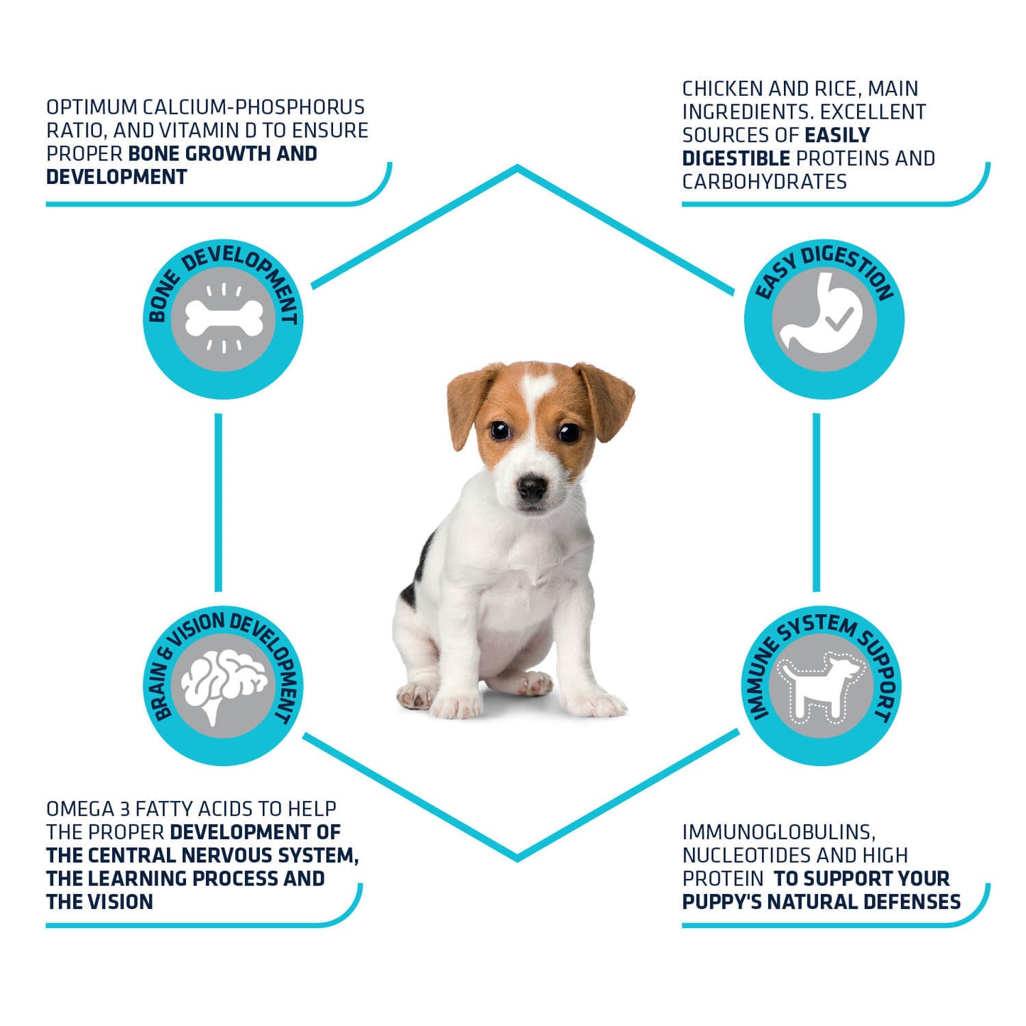 Advance Puppy Protect Mini