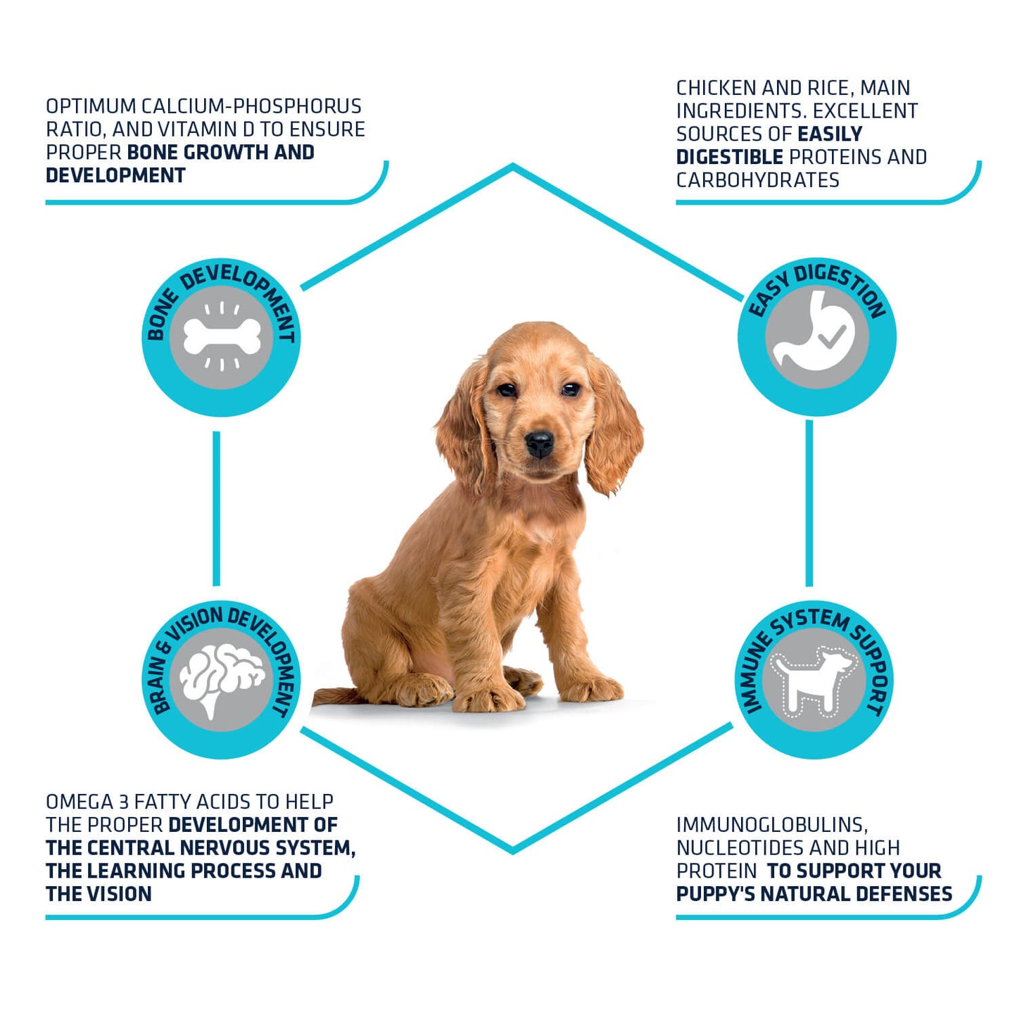 Advance Puppy Protect Medium