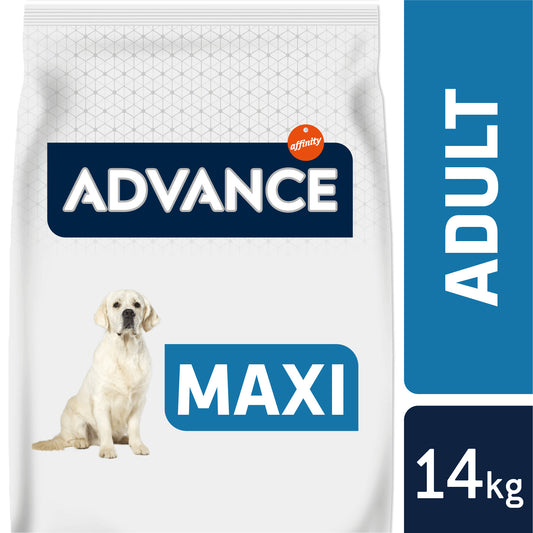 Advance Maxi Light