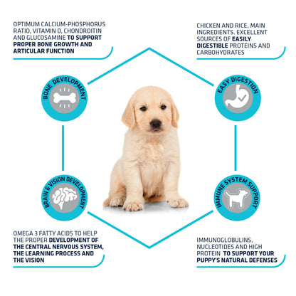 Advance Puppy Protect Maxi
