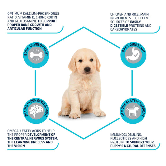 Advance Puppy Protect Maxi