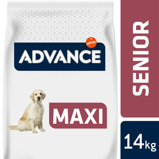 Advance Maxi Senior