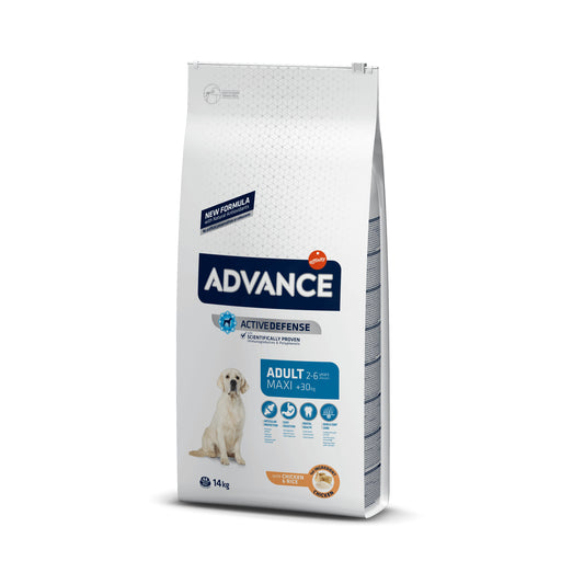 Advance Maxi Adult