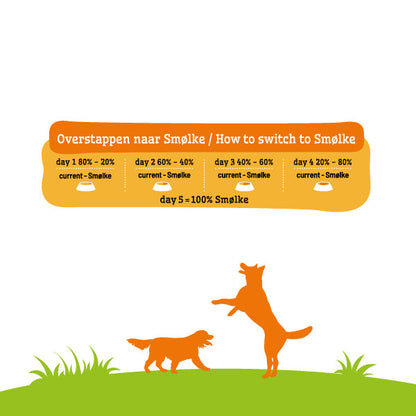 Smolke Adult Mini